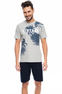 Piżama Męska Model SAM-PY 083 Grey Melange