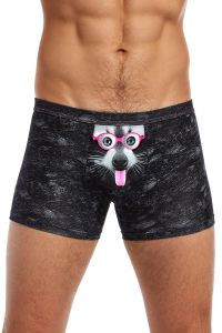 Bokserki Model Tattoo Racoon Black
