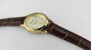 Zegarek Damski Albatros ABA214